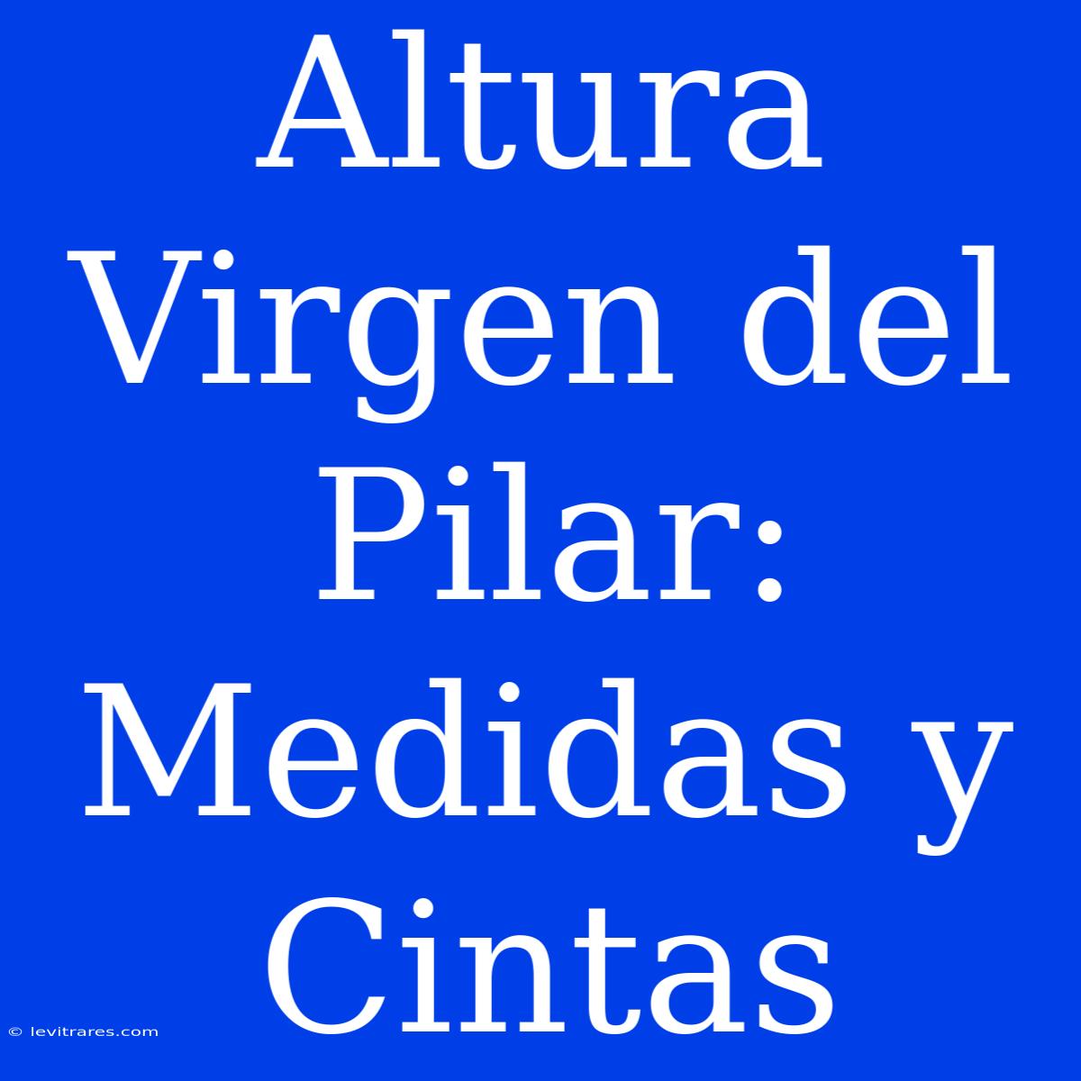 Altura Virgen Del Pilar: Medidas Y Cintas