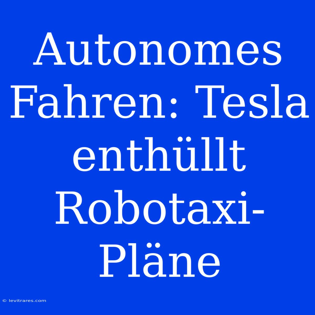 Autonomes Fahren: Tesla Enthüllt Robotaxi-Pläne