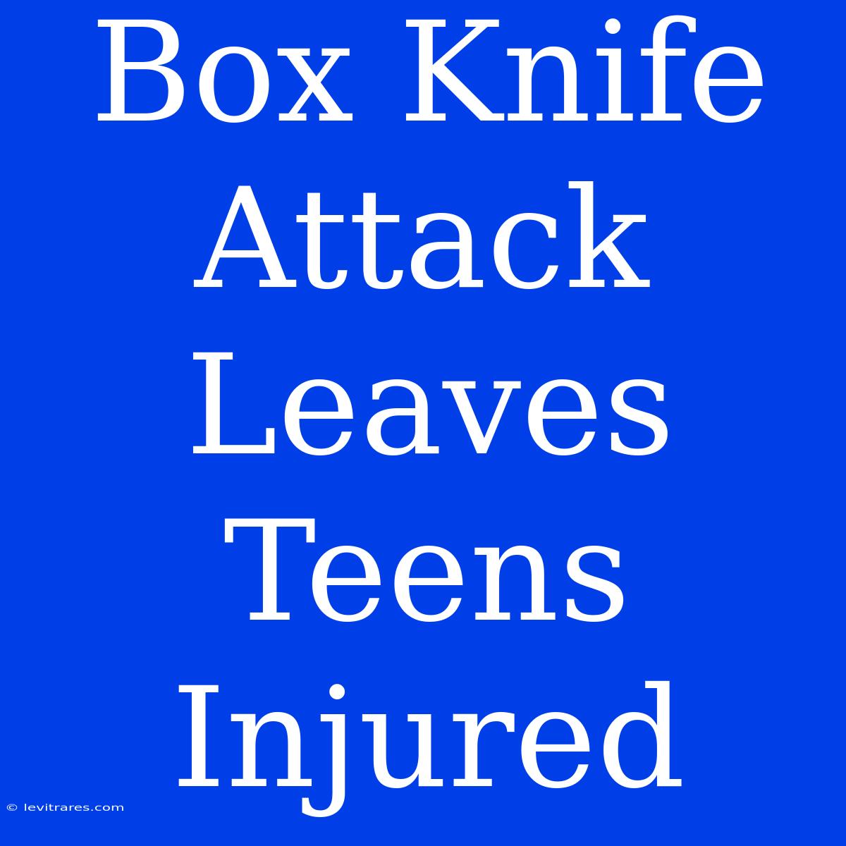 Box Knife Attack Leaves Teens Injured