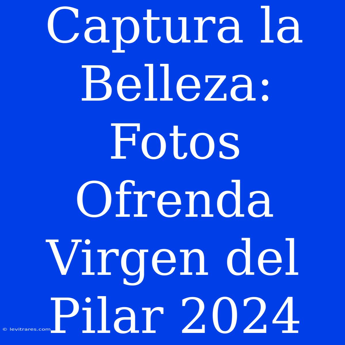 Captura La Belleza: Fotos Ofrenda Virgen Del Pilar 2024 