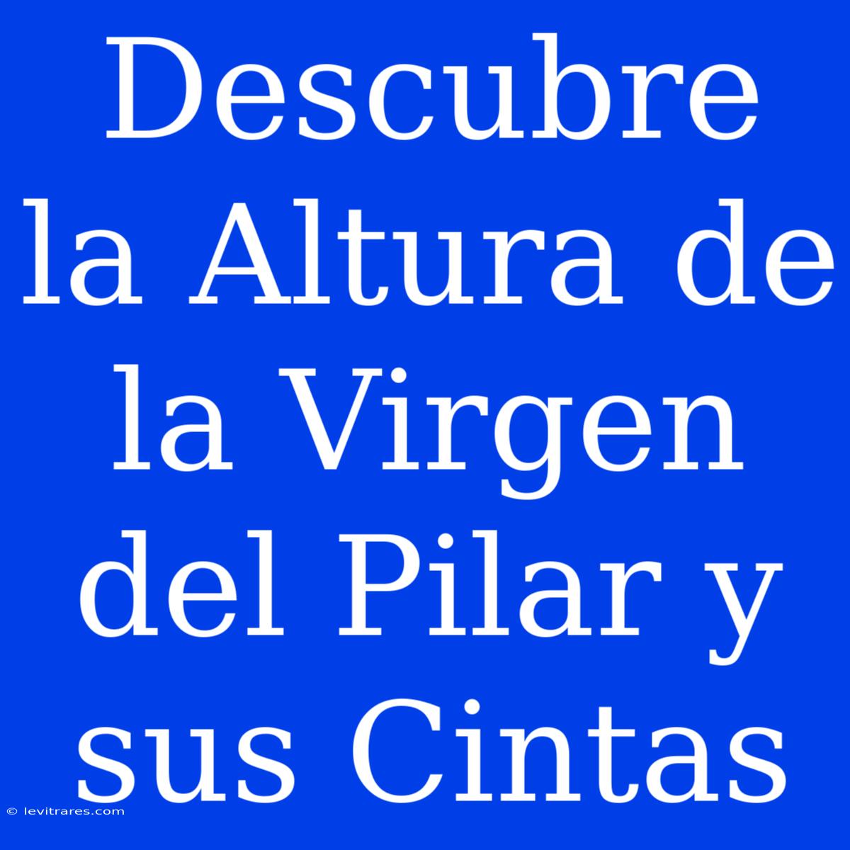 Descubre La Altura De La Virgen Del Pilar Y Sus Cintas