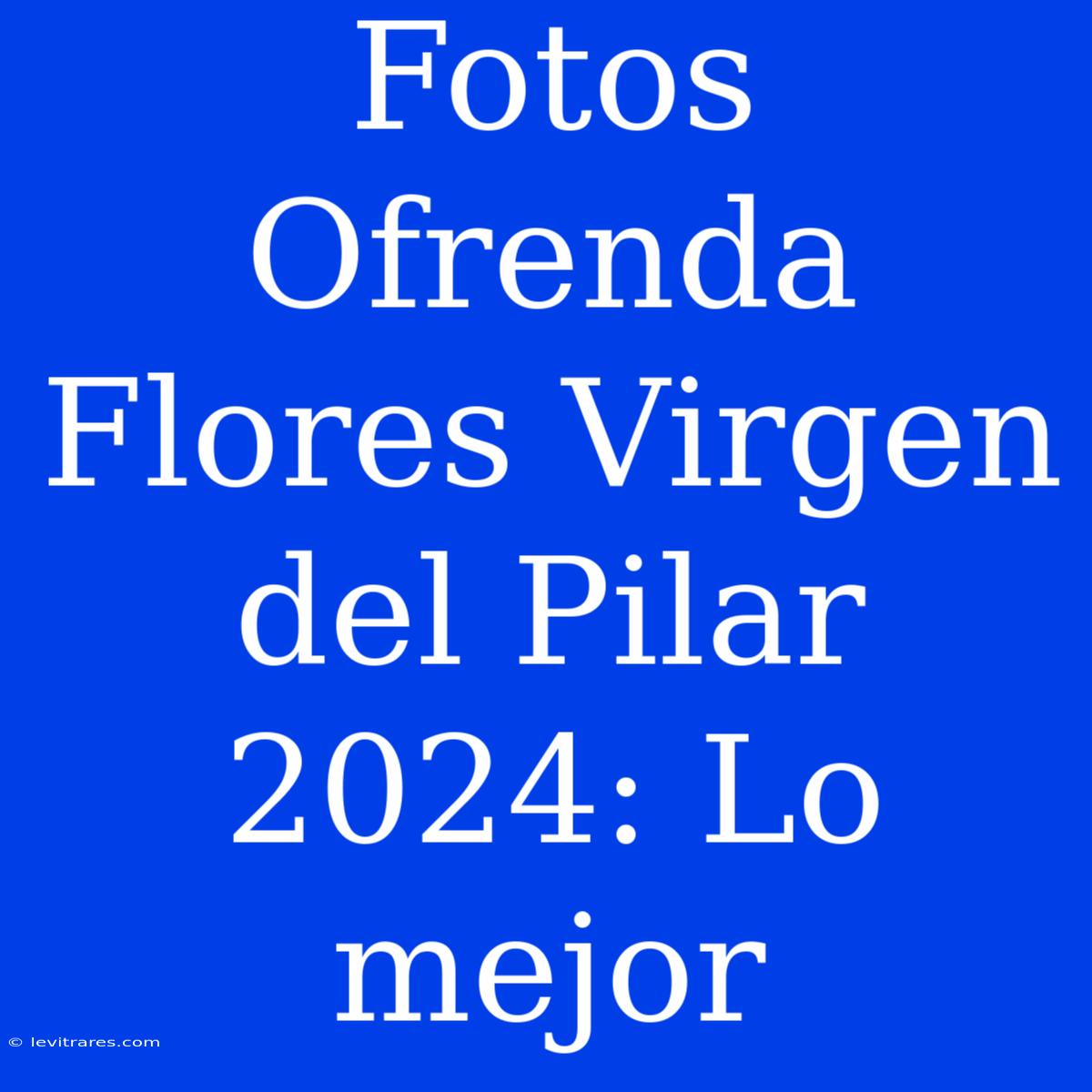 Fotos Ofrenda Flores Virgen Del Pilar 2024: Lo Mejor