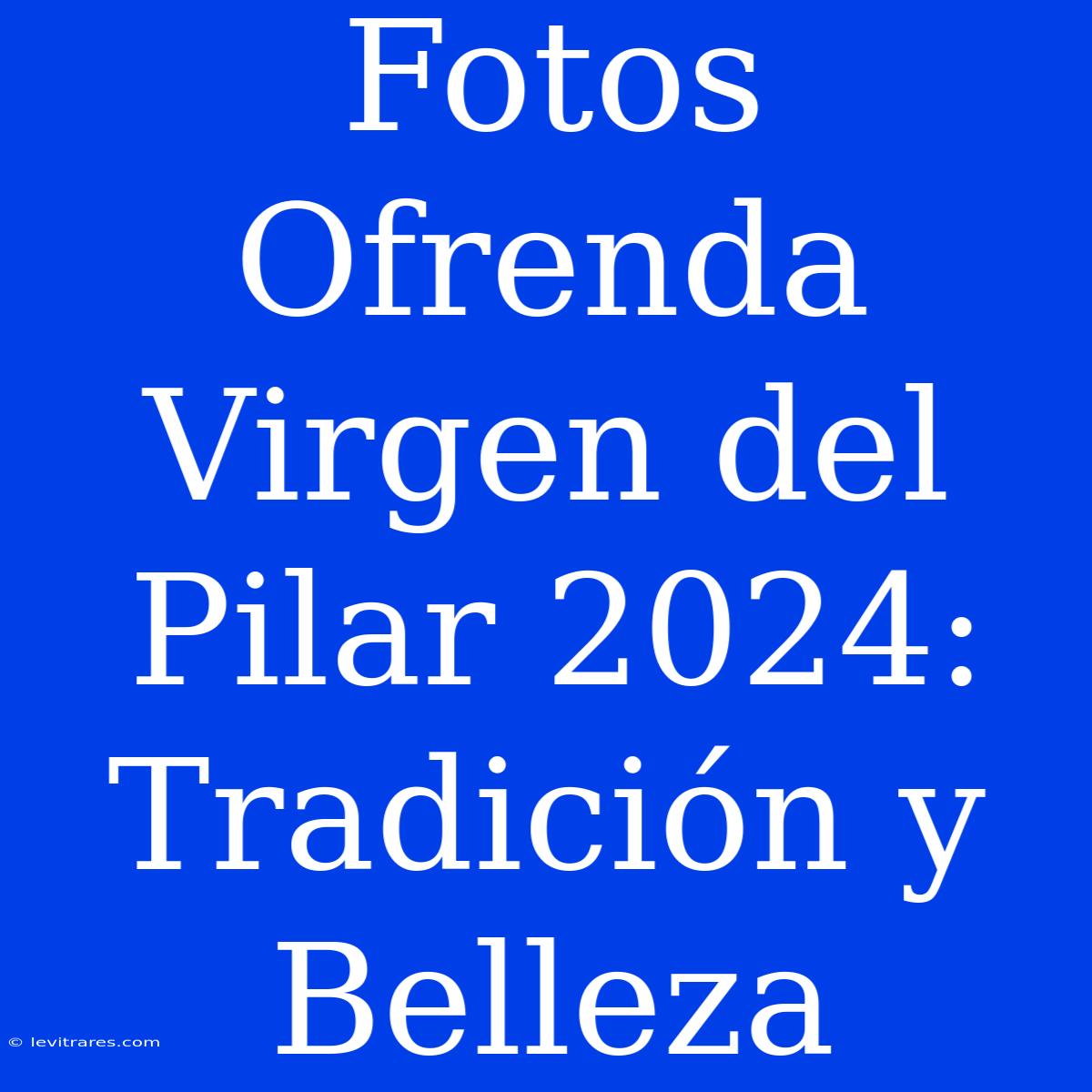 Fotos Ofrenda Virgen Del Pilar 2024: Tradición Y Belleza