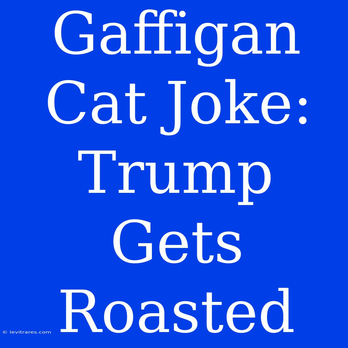 Gaffigan Cat Joke: Trump Gets Roasted 