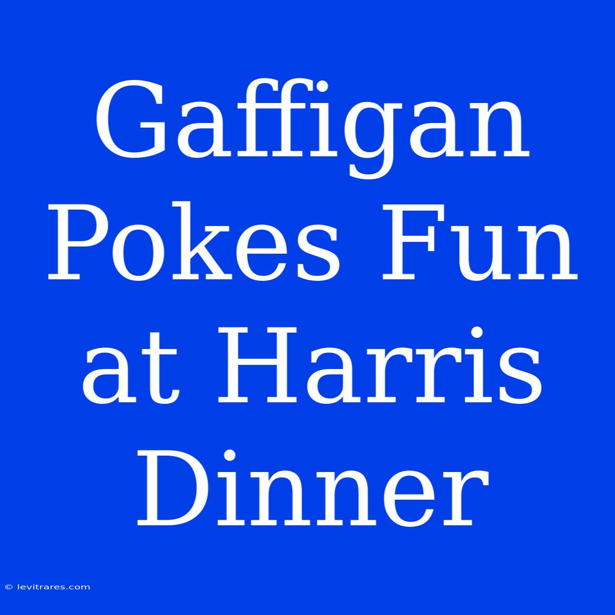 Gaffigan Pokes Fun At Harris Dinner