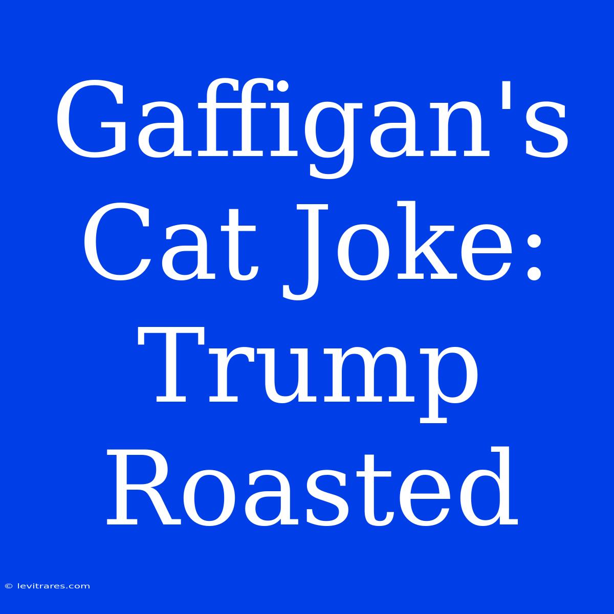 Gaffigan's Cat Joke: Trump Roasted