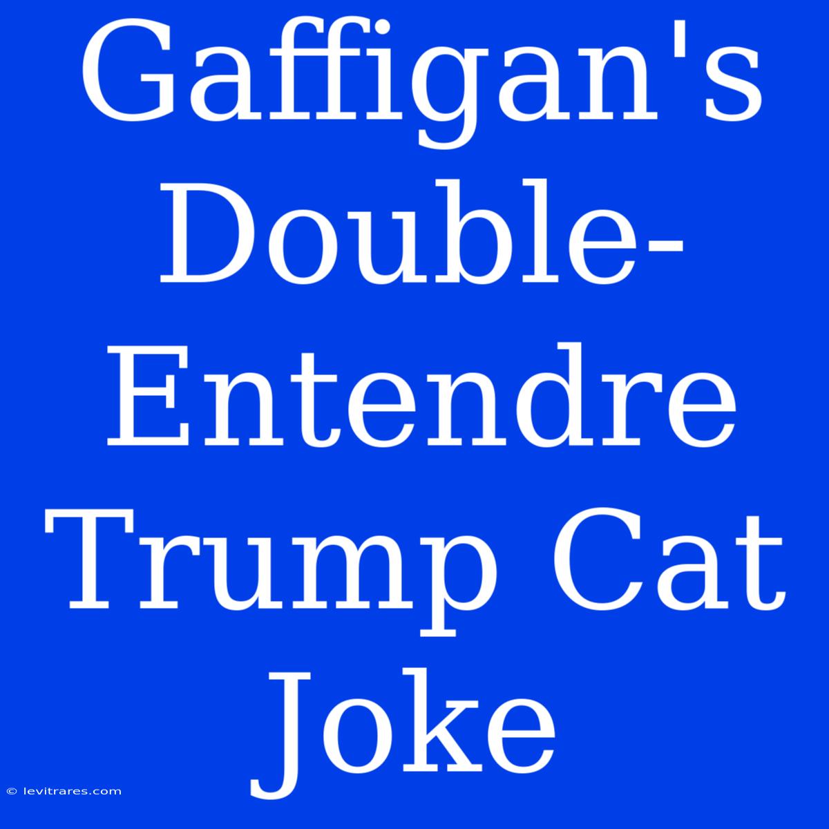 Gaffigan's Double-Entendre Trump Cat Joke