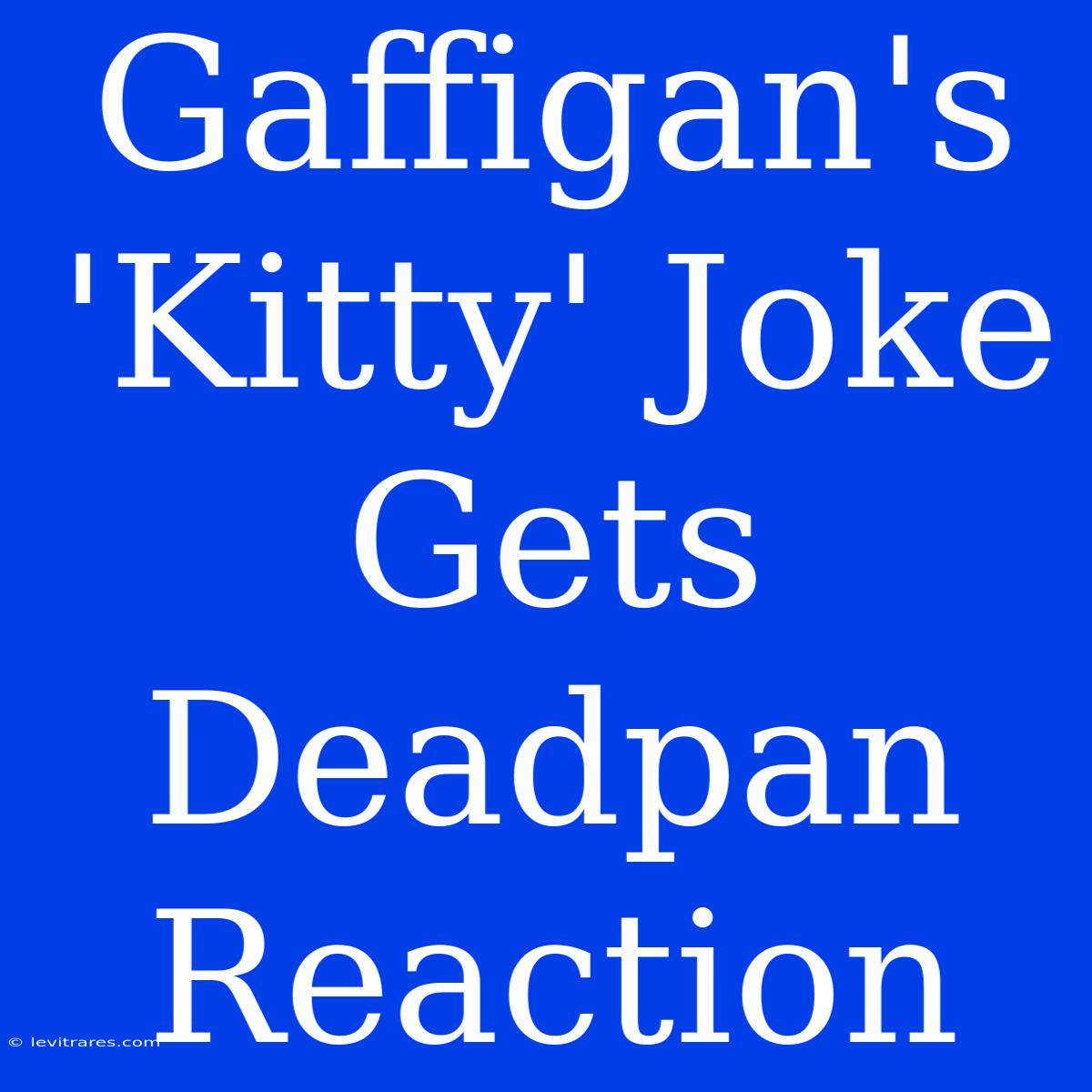 Gaffigan's 'Kitty' Joke Gets Deadpan Reaction