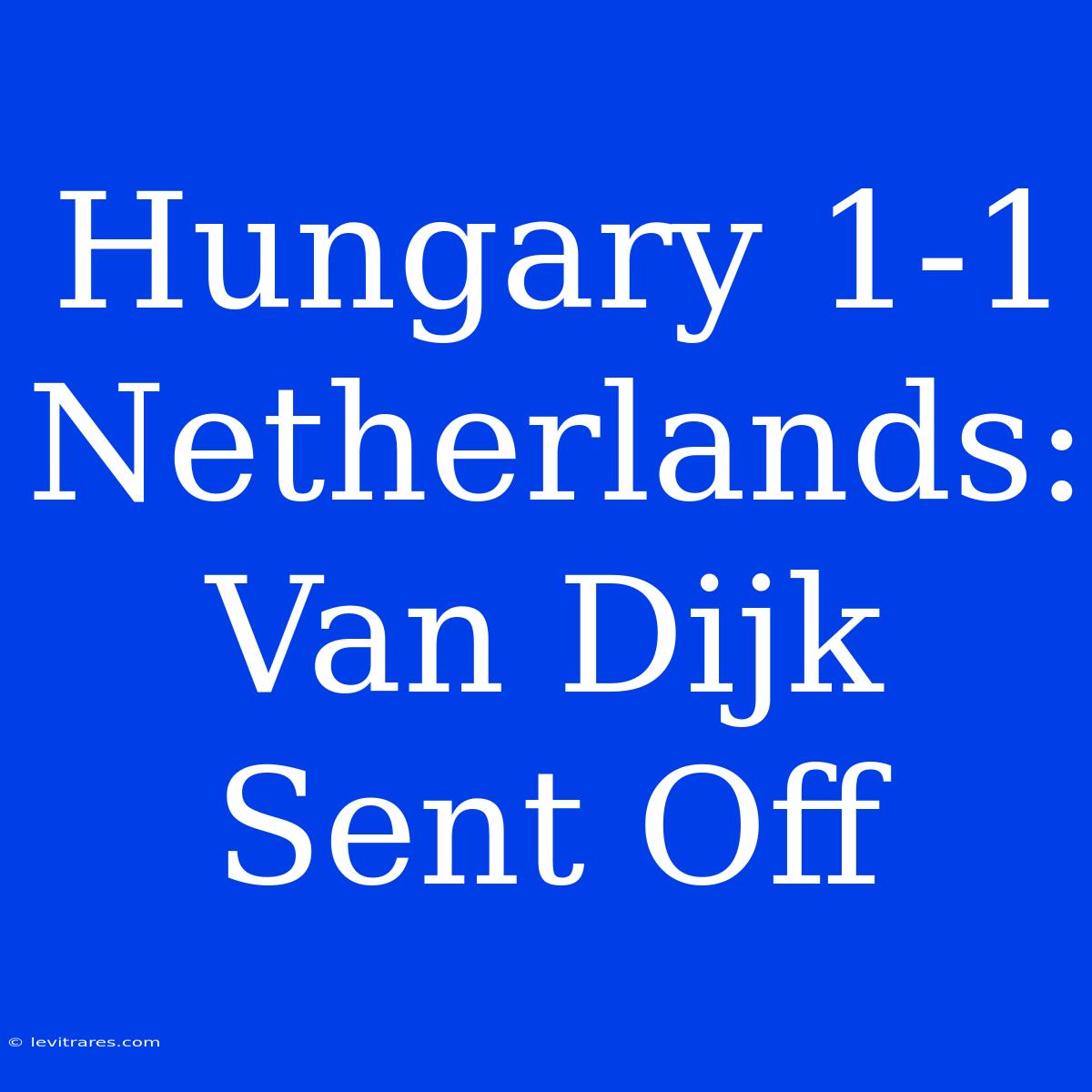 Hungary 1-1 Netherlands: Van Dijk Sent Off 