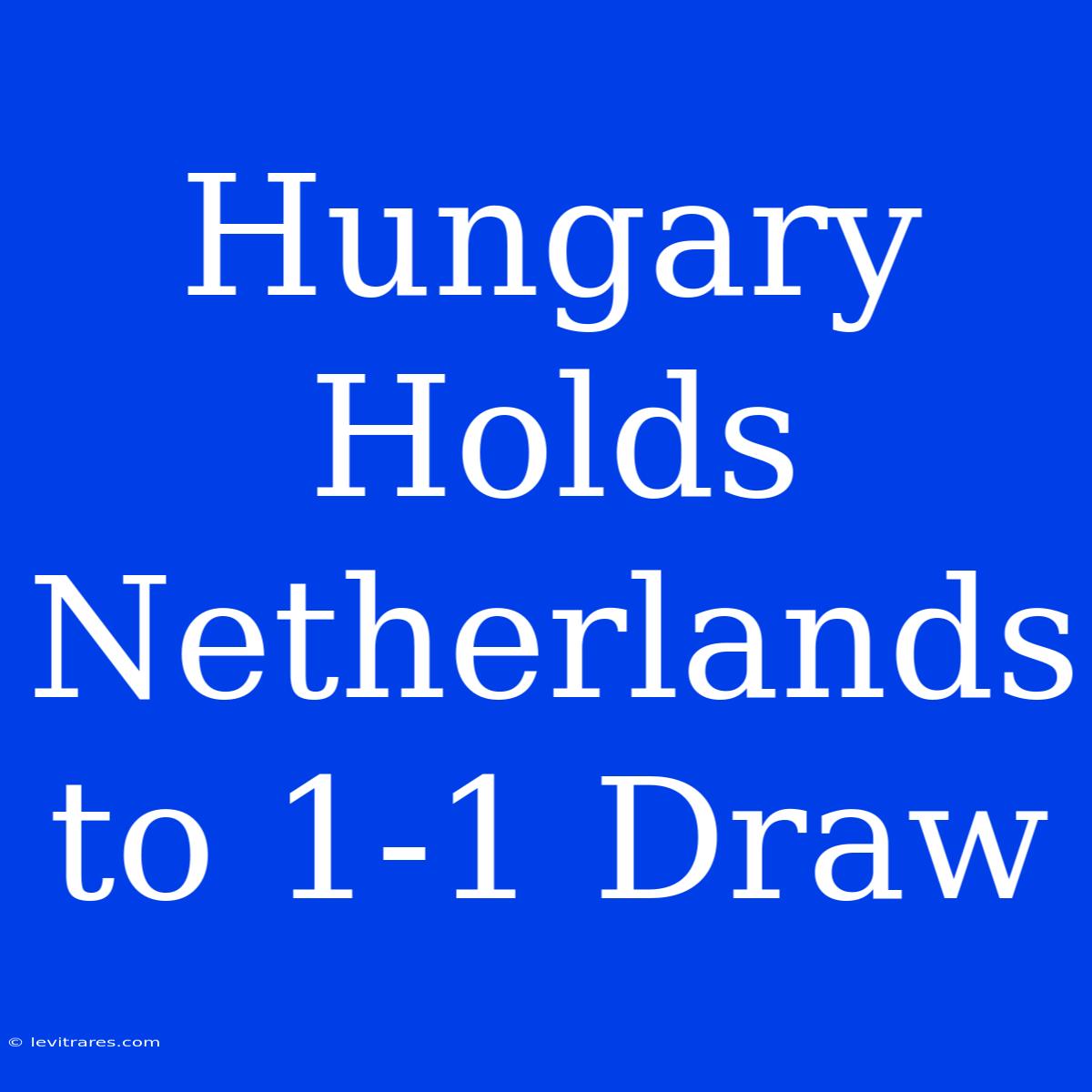 Hungary Holds Netherlands To 1-1 Draw