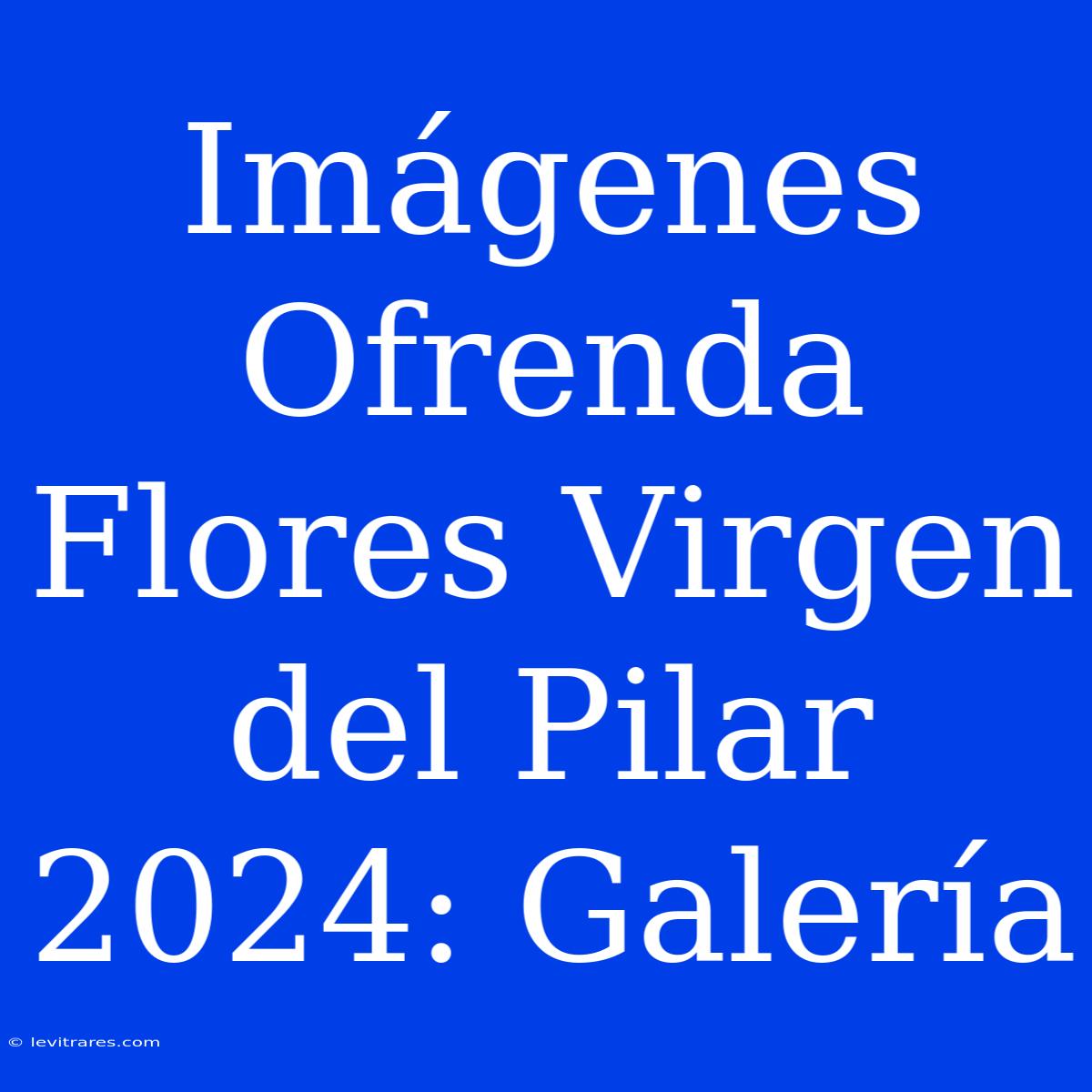 Imágenes Ofrenda Flores Virgen Del Pilar 2024: Galería