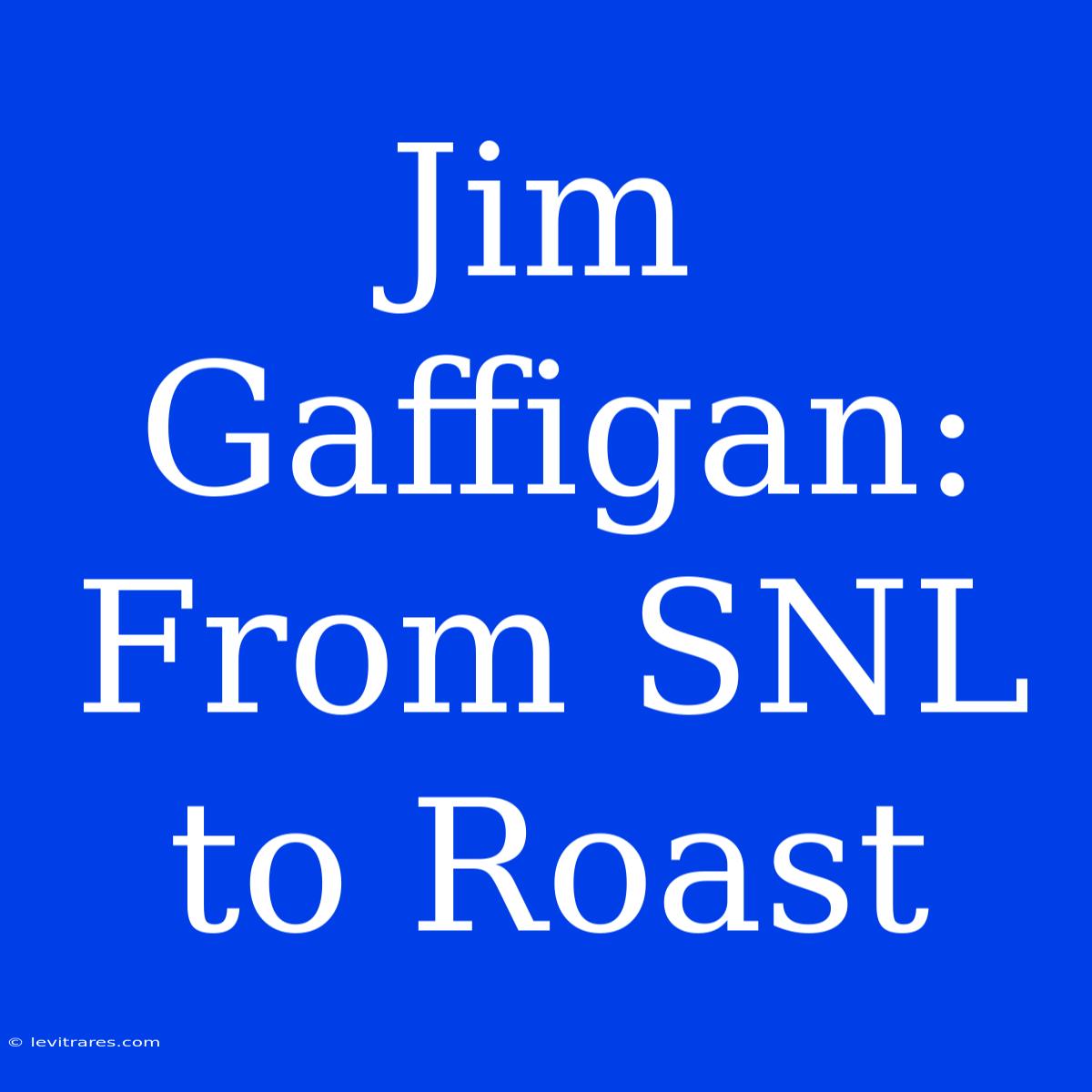 Jim Gaffigan: From SNL To Roast