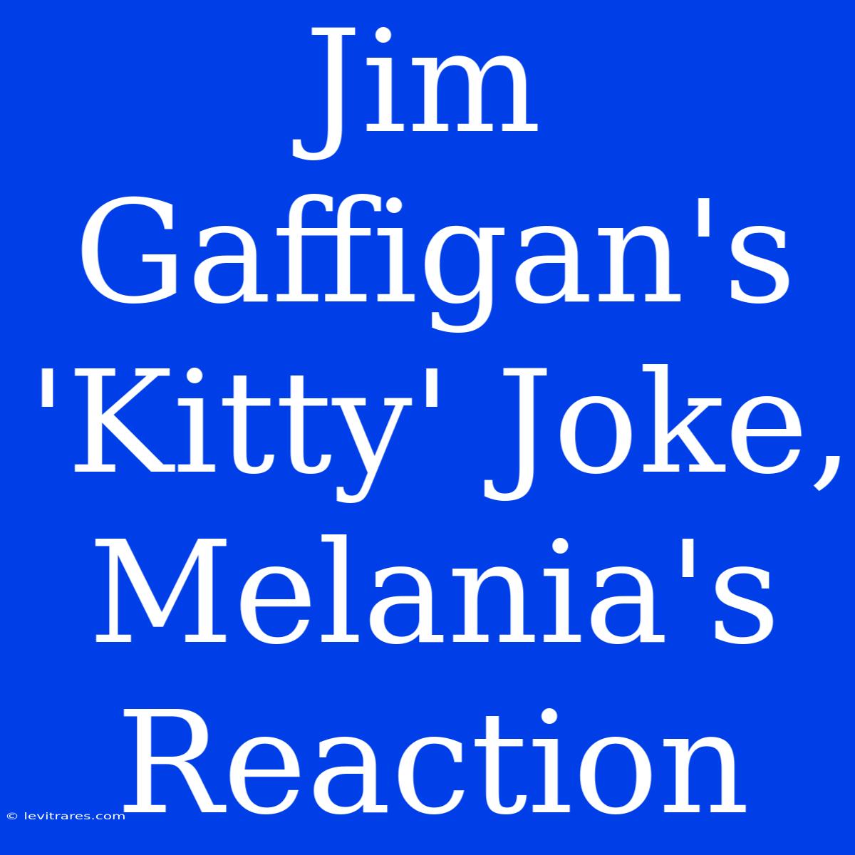 Jim Gaffigan's 'Kitty' Joke, Melania's Reaction