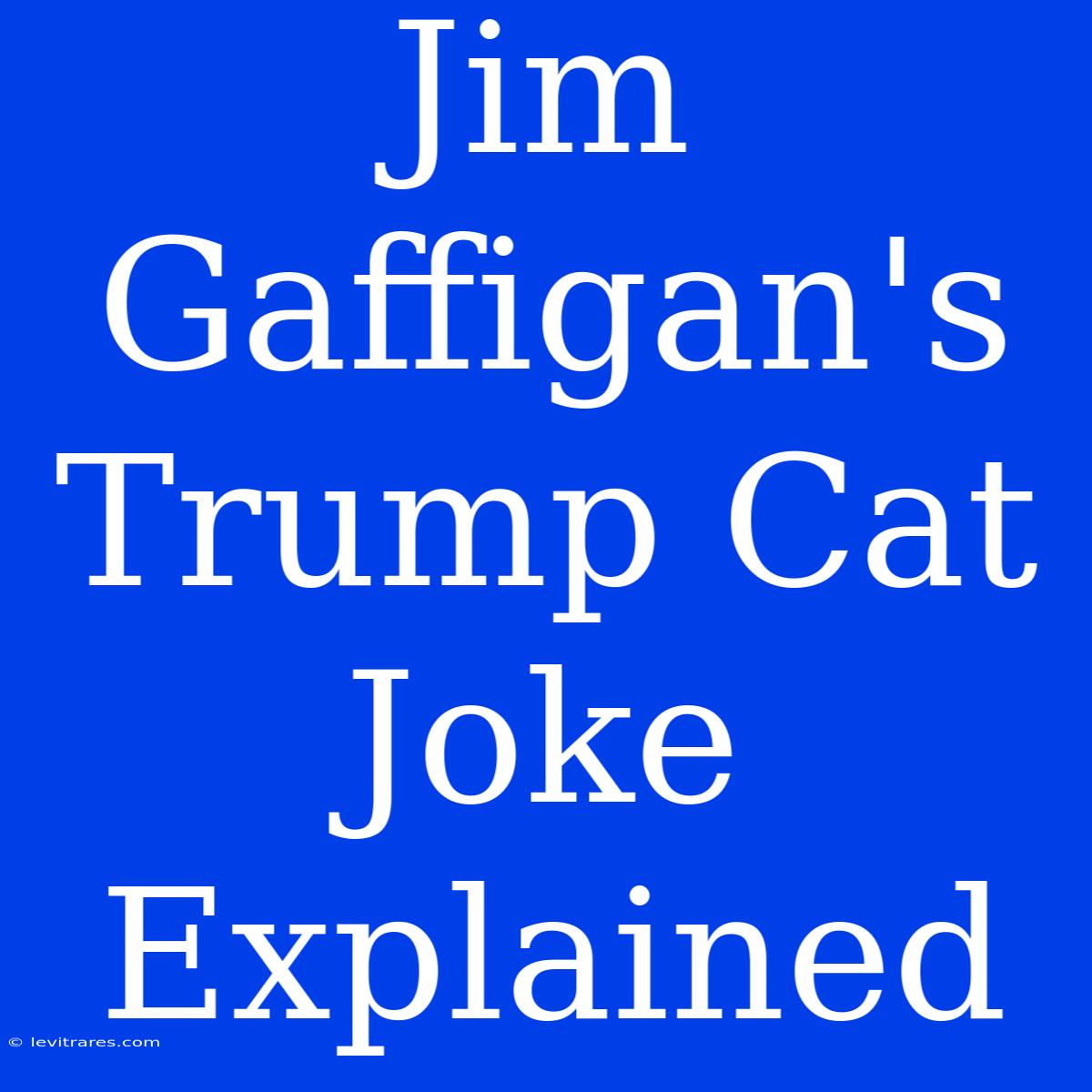 Jim Gaffigan's Trump Cat Joke Explained