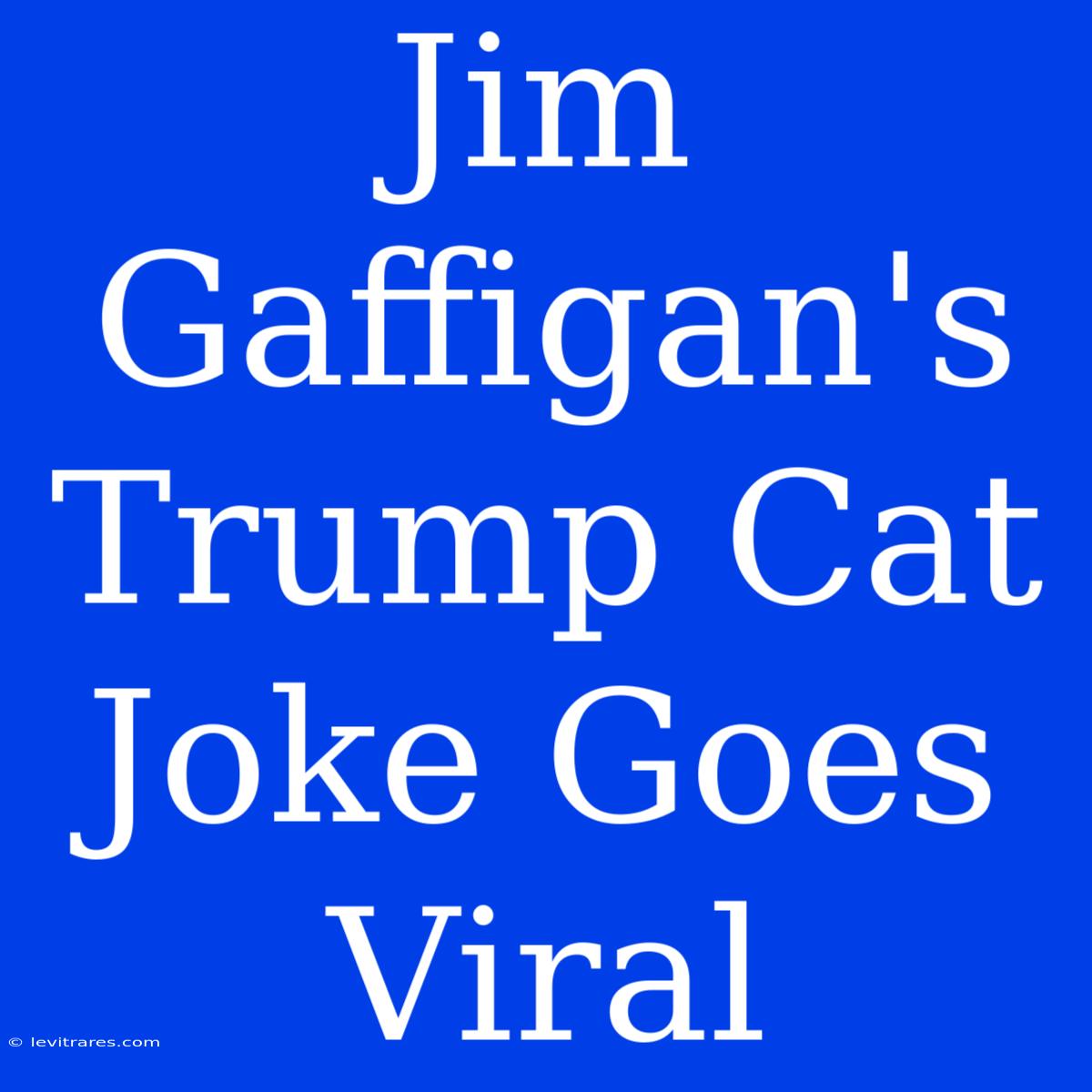 Jim Gaffigan's Trump Cat Joke Goes Viral