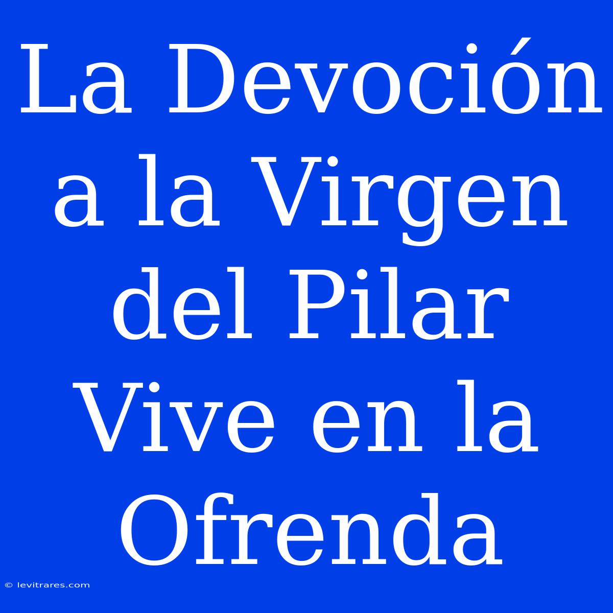 La Devoción A La Virgen Del Pilar Vive En La Ofrenda