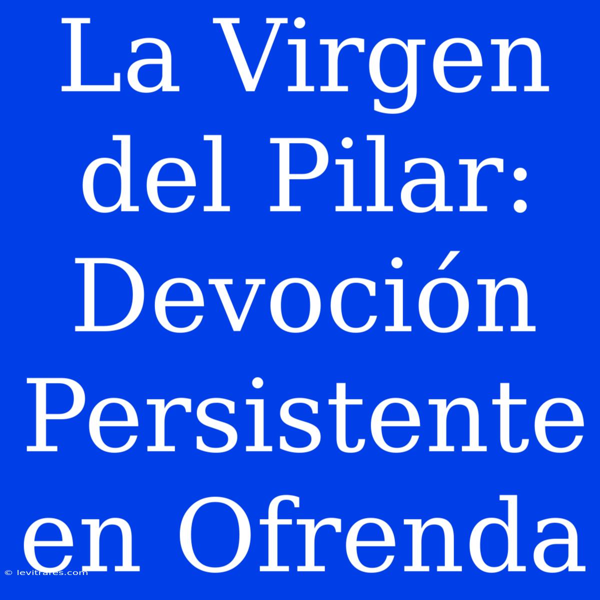 La Virgen Del Pilar: Devoción Persistente En Ofrenda