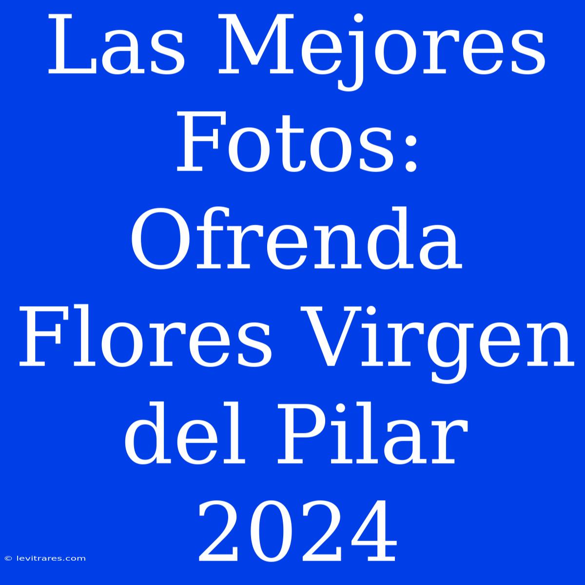 Las Mejores Fotos: Ofrenda Flores Virgen Del Pilar 2024