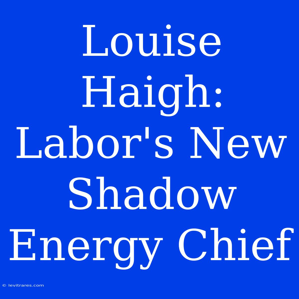 Louise Haigh: Labor's New Shadow Energy Chief