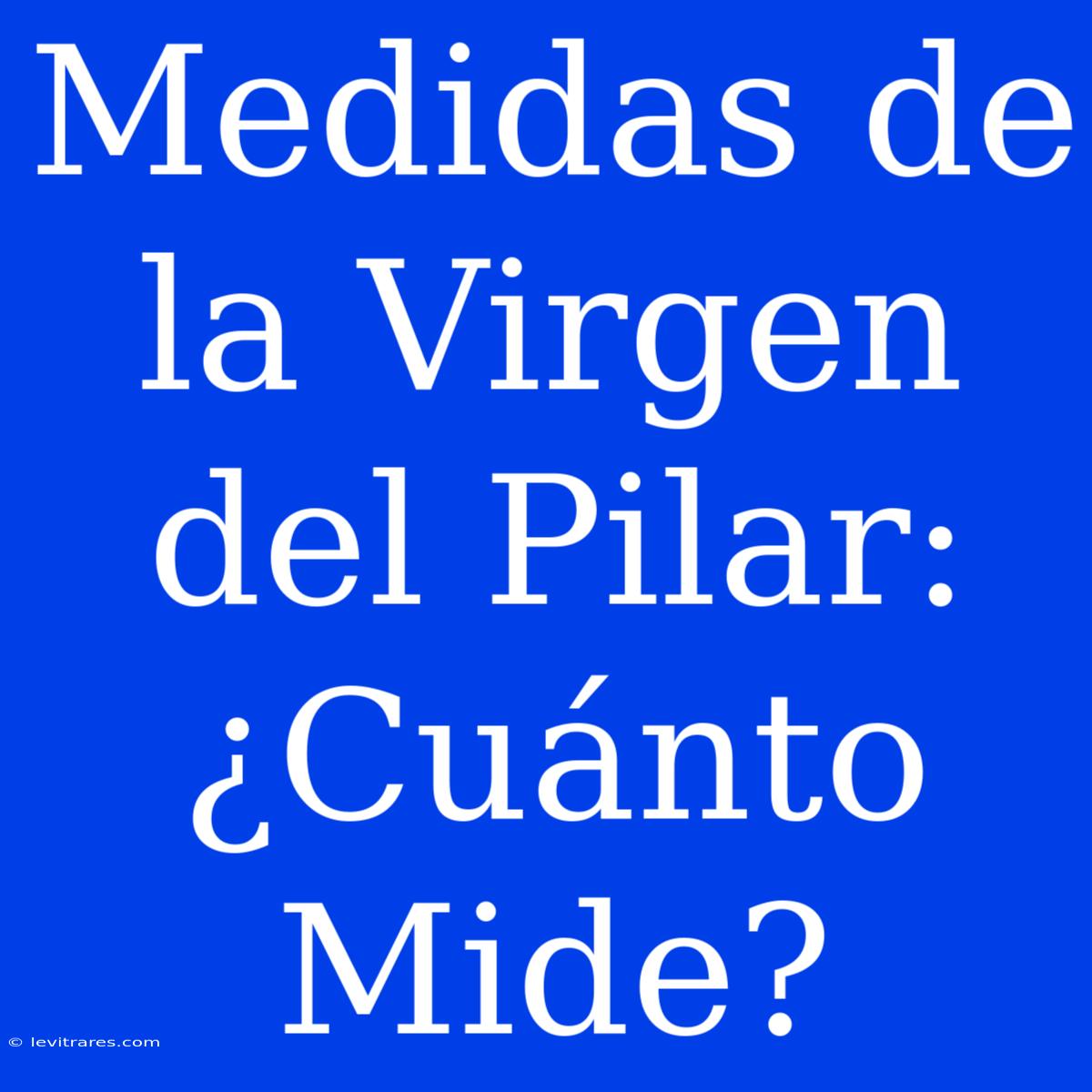 Medidas De La Virgen Del Pilar: ¿Cuánto Mide?