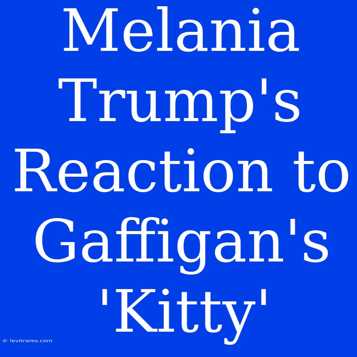 Melania Trump's Reaction To Gaffigan's 'Kitty' 