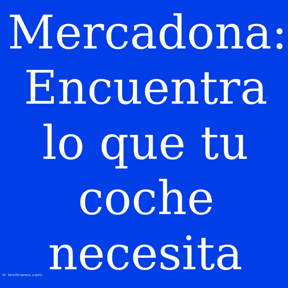 Mercadona: Encuentra Lo Que Tu Coche Necesita