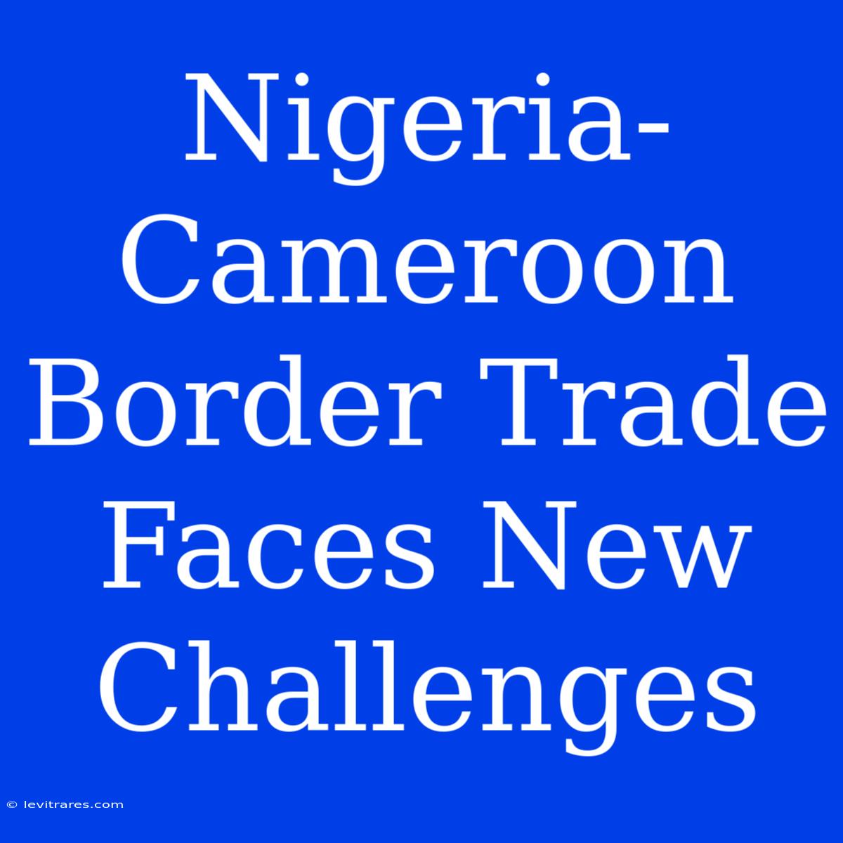 Nigeria-Cameroon Border Trade Faces New Challenges