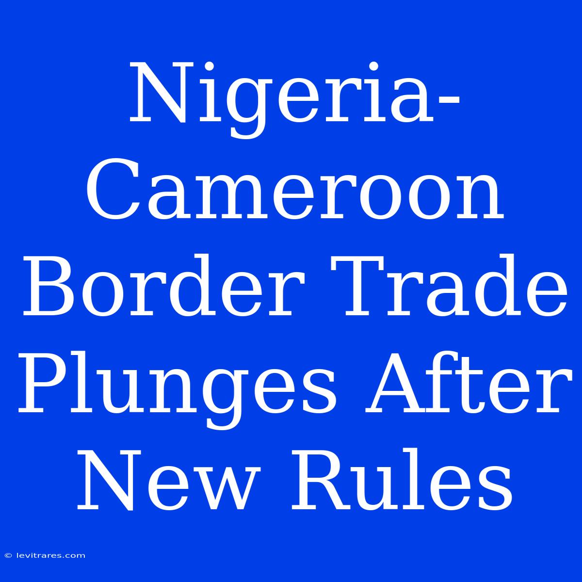 Nigeria-Cameroon Border Trade Plunges After New Rules