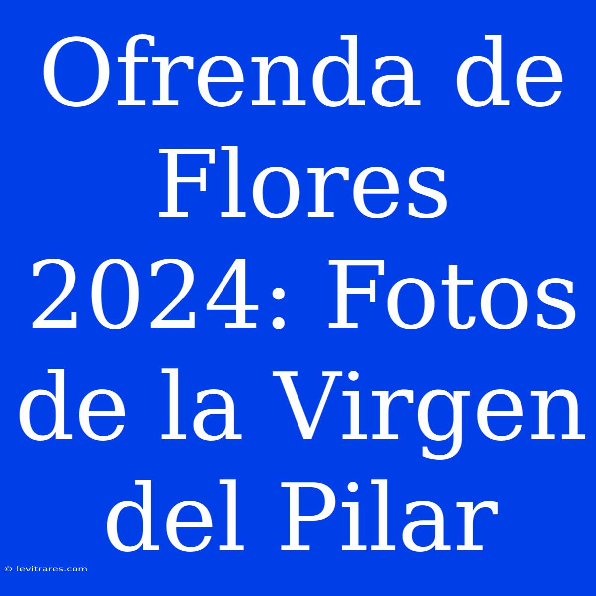 Ofrenda De Flores 2024: Fotos De La Virgen Del Pilar