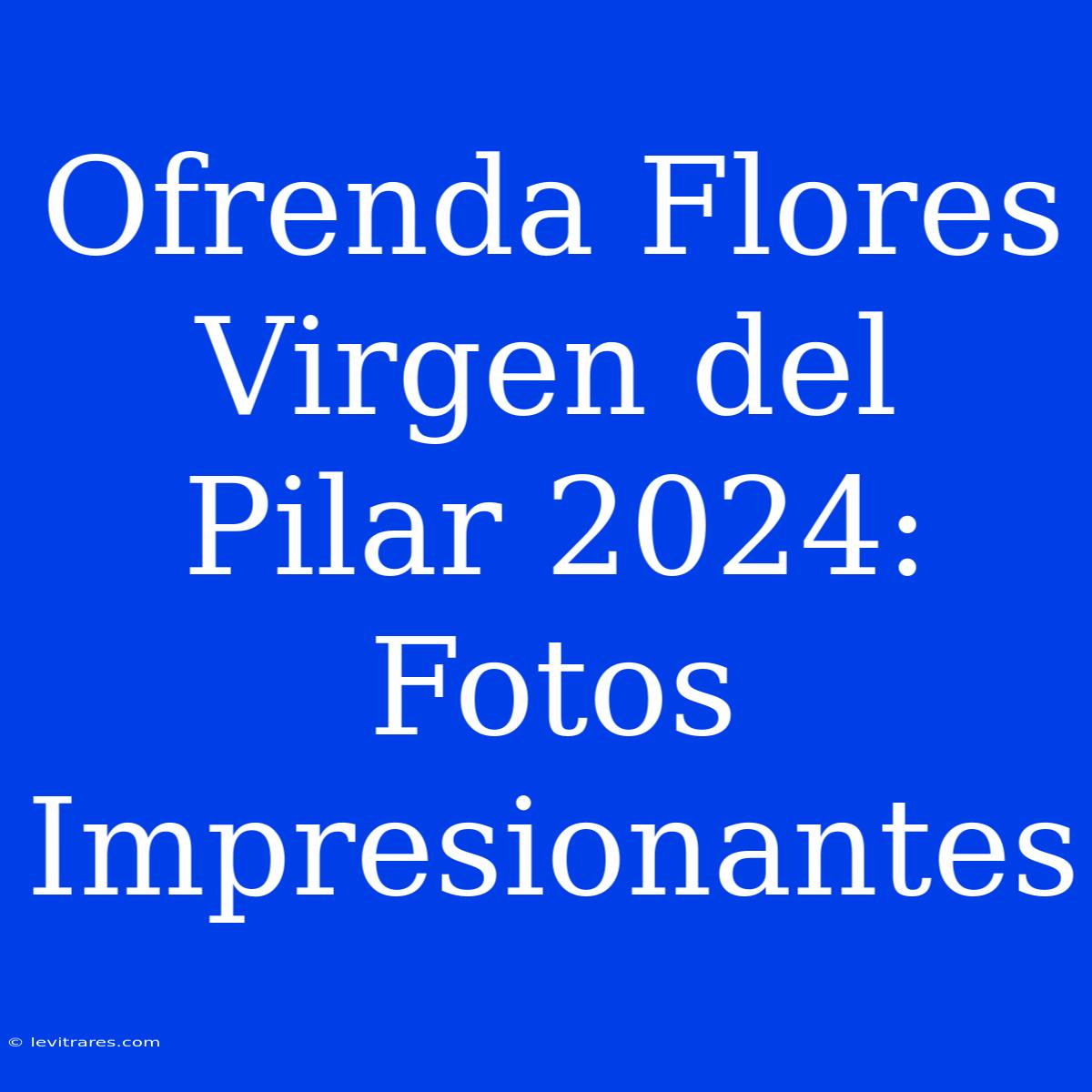 Ofrenda Flores Virgen Del Pilar 2024: Fotos Impresionantes