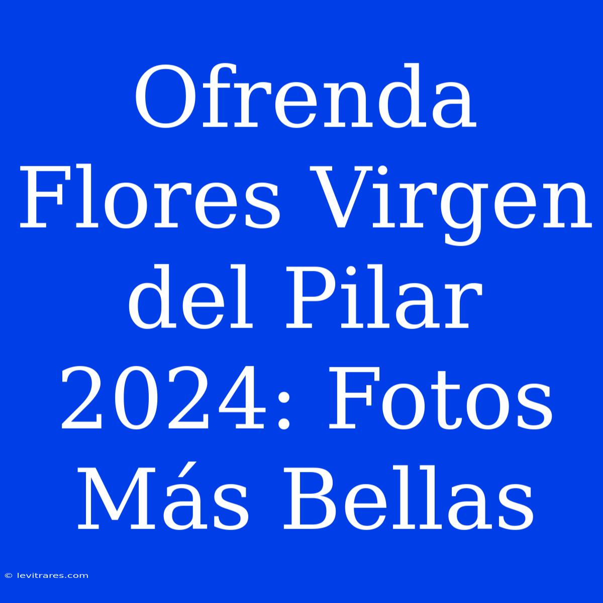 Ofrenda Flores Virgen Del Pilar 2024: Fotos Más Bellas