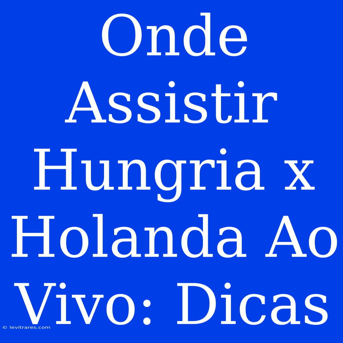 Onde Assistir Hungria X Holanda Ao Vivo: Dicas