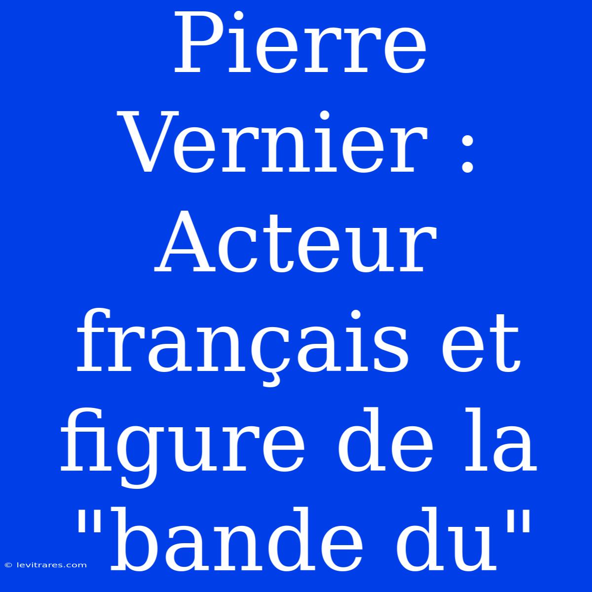 Pierre Vernier : Acteur Français Et Figure De La 