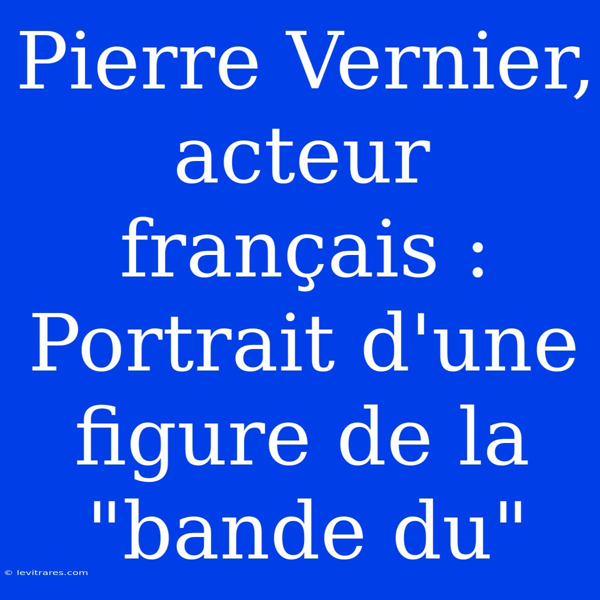 Pierre Vernier, Acteur Français : Portrait D'une Figure De La 