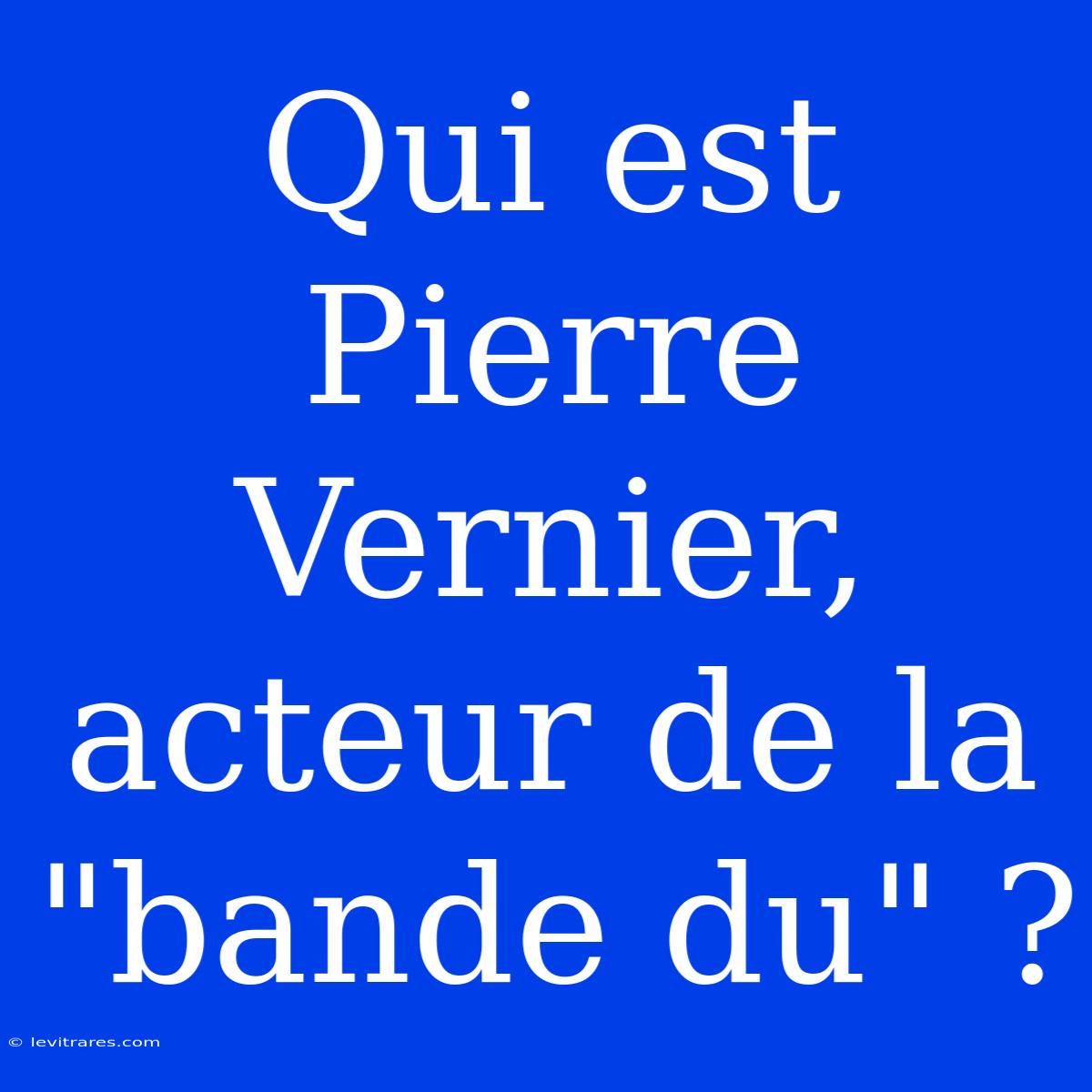 Qui Est Pierre Vernier, Acteur De La 