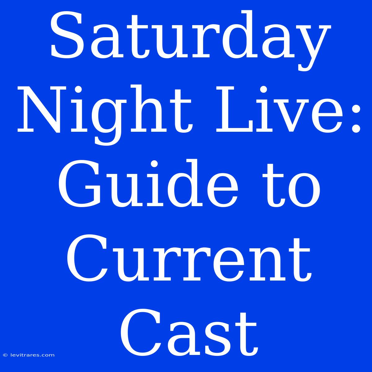 Saturday Night Live: Guide To Current Cast