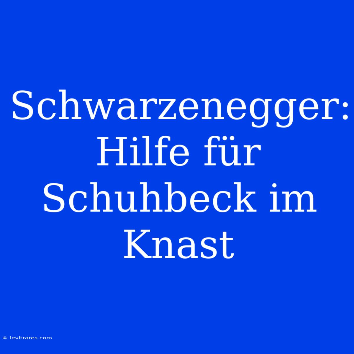 Schwarzenegger: Hilfe Für Schuhbeck Im Knast