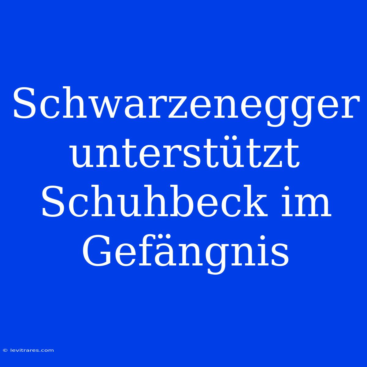 Schwarzenegger Unterstützt Schuhbeck Im Gefängnis