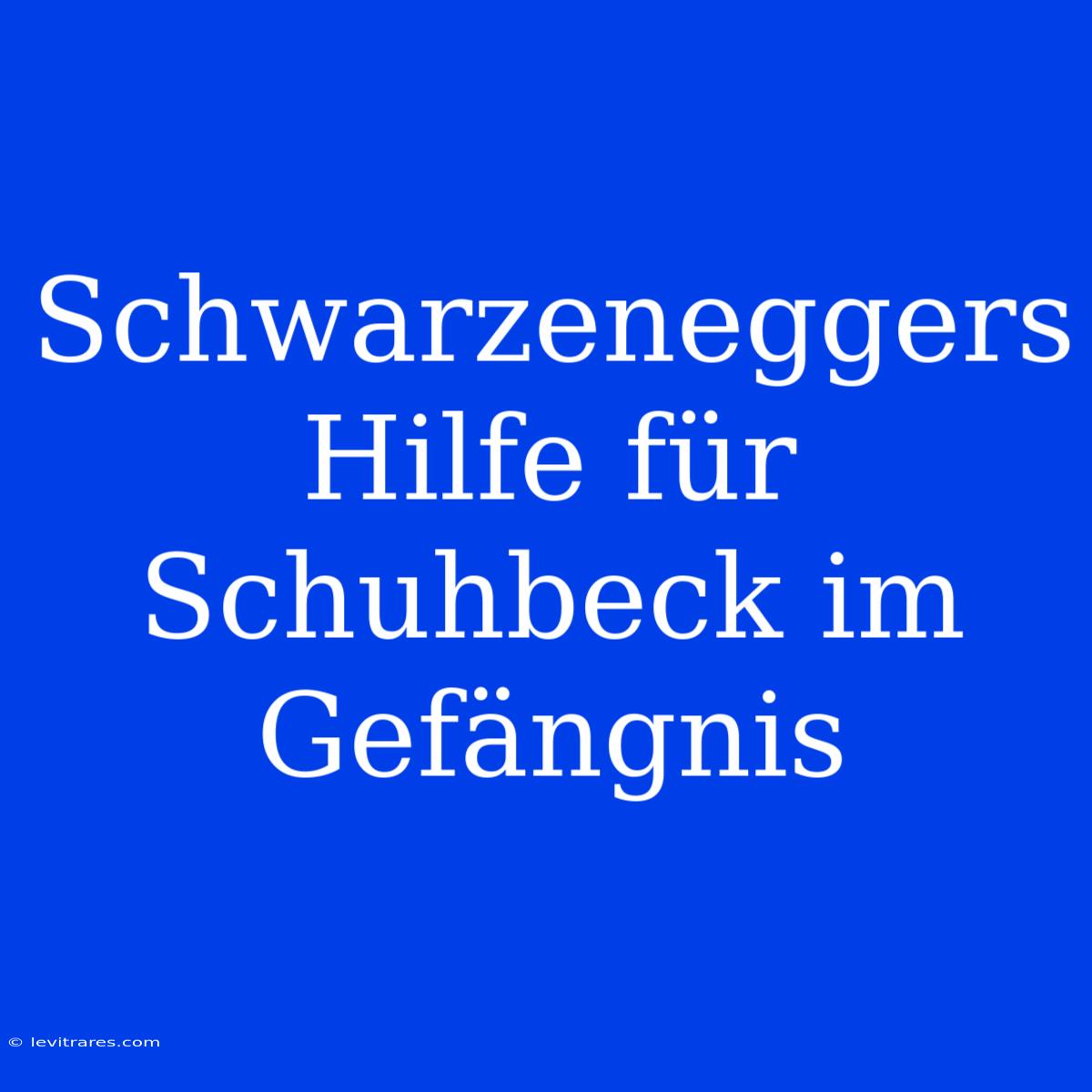 Schwarzeneggers Hilfe Für Schuhbeck Im Gefängnis