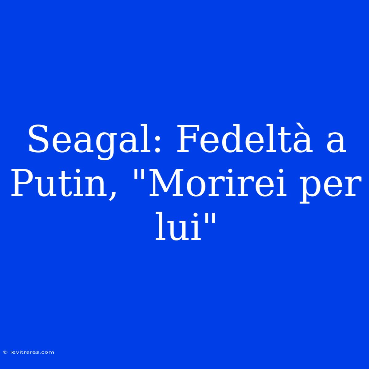 Seagal: Fedeltà A Putin, 