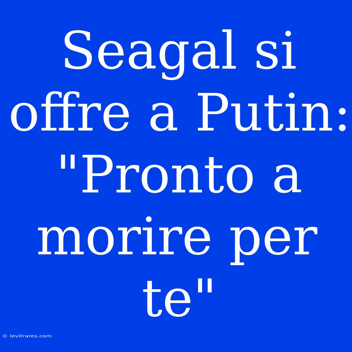 Seagal Si Offre A Putin: 