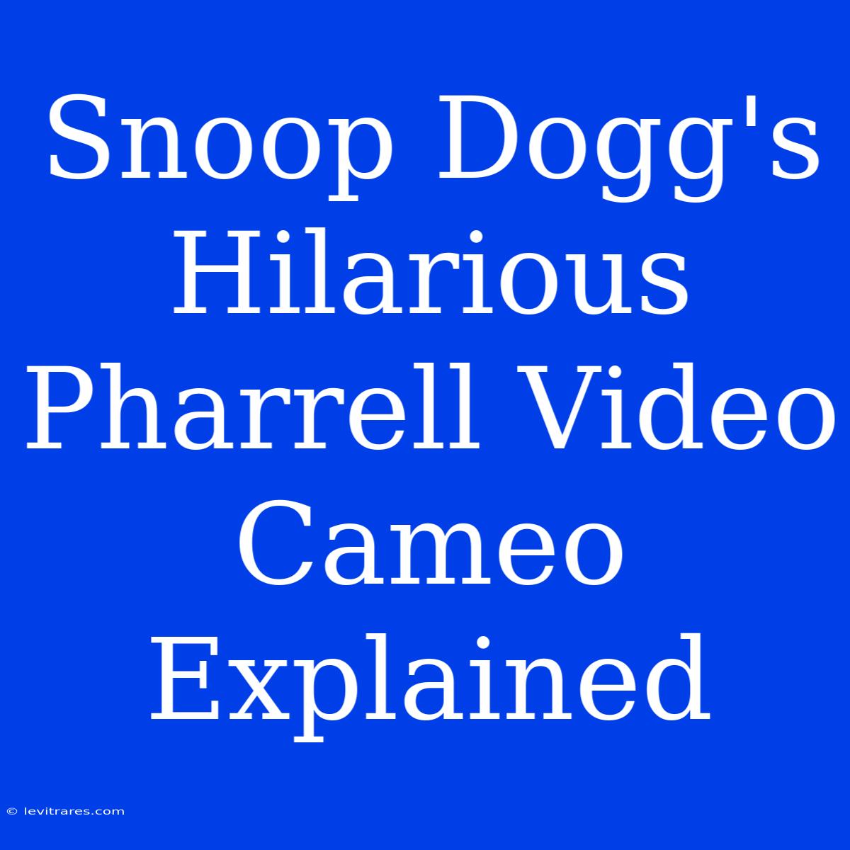 Snoop Dogg's Hilarious Pharrell Video Cameo Explained