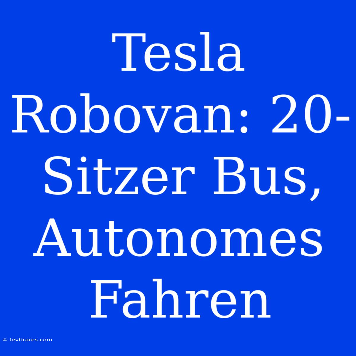 Tesla Robovan: 20-Sitzer Bus, Autonomes Fahren