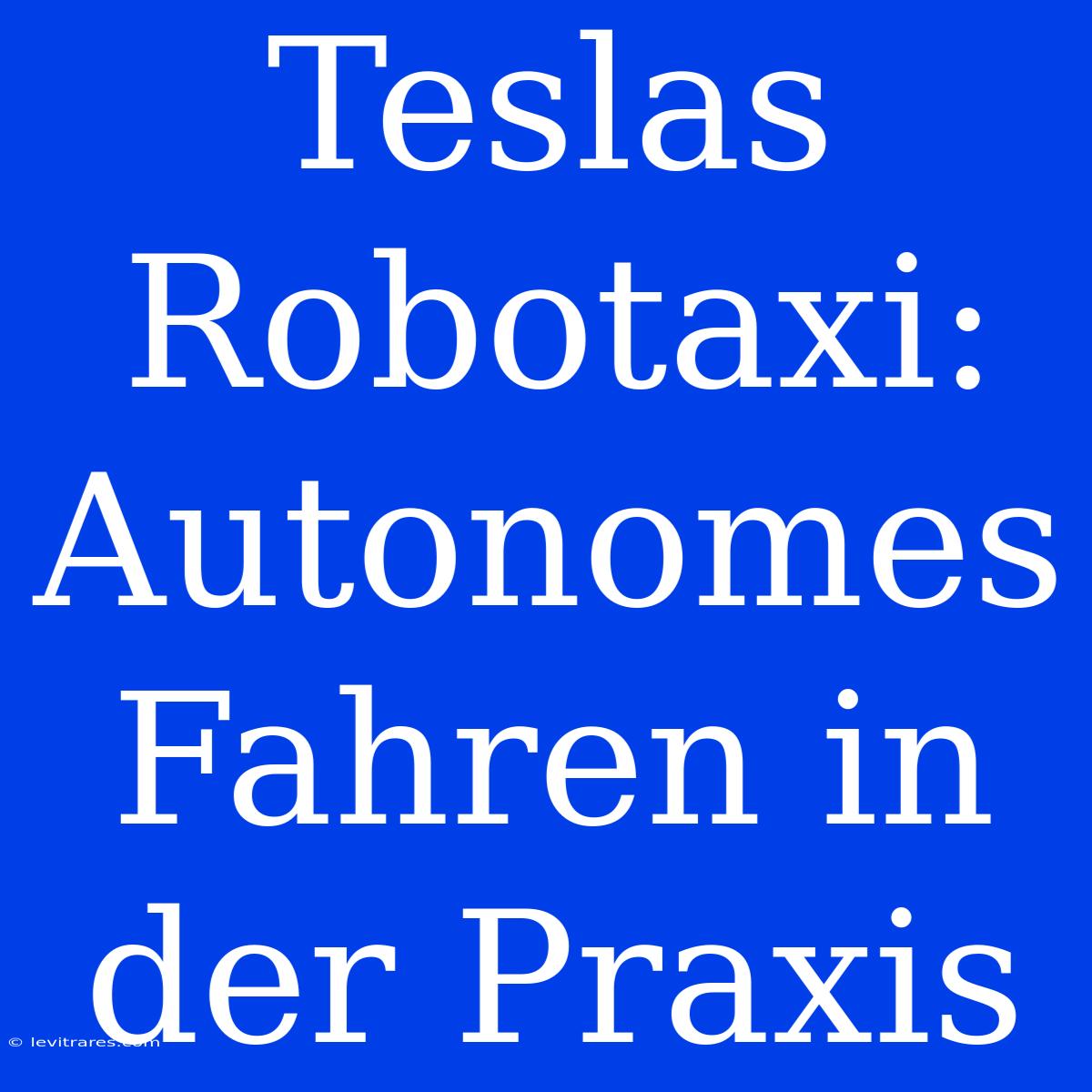 Teslas Robotaxi: Autonomes Fahren In Der Praxis