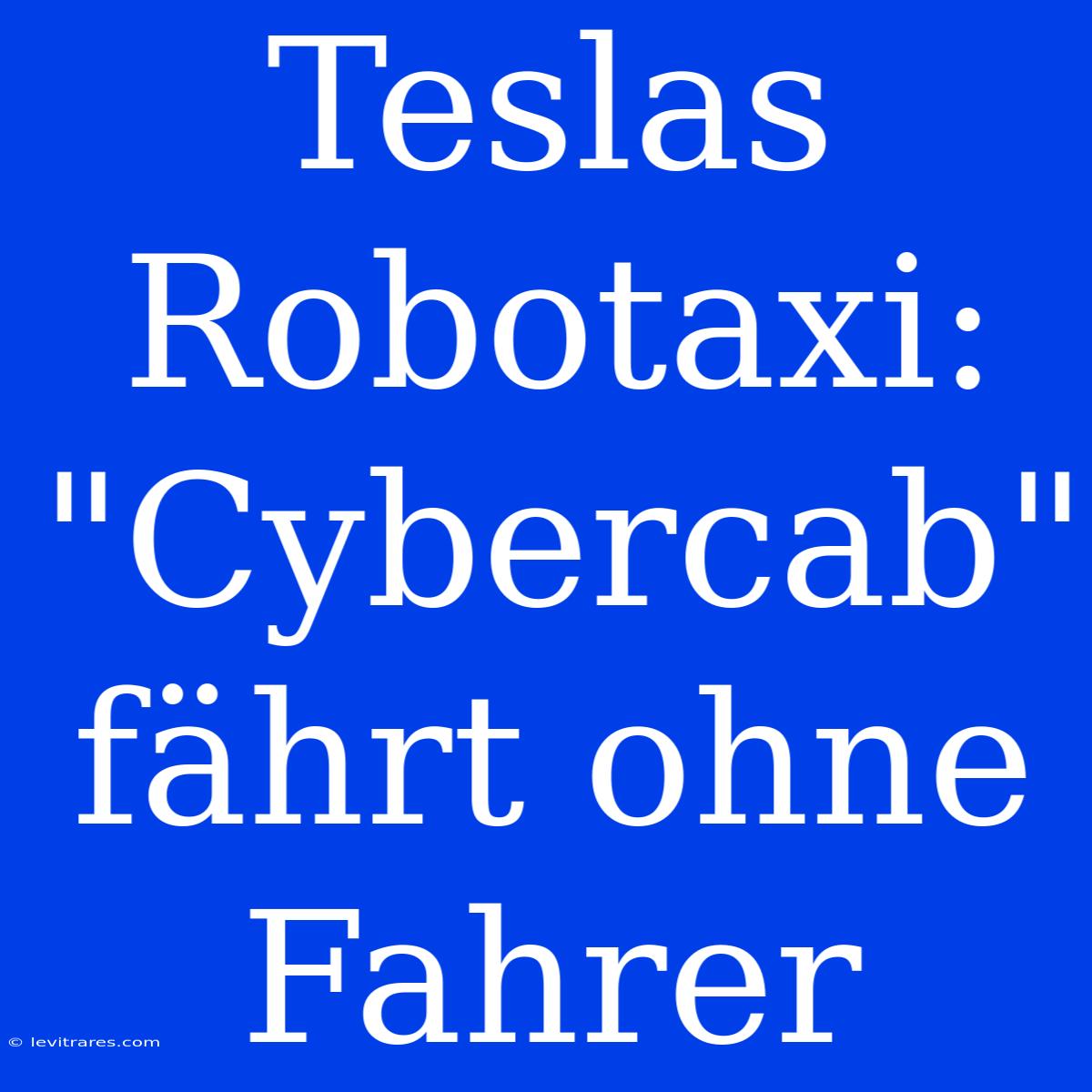 Teslas Robotaxi: 