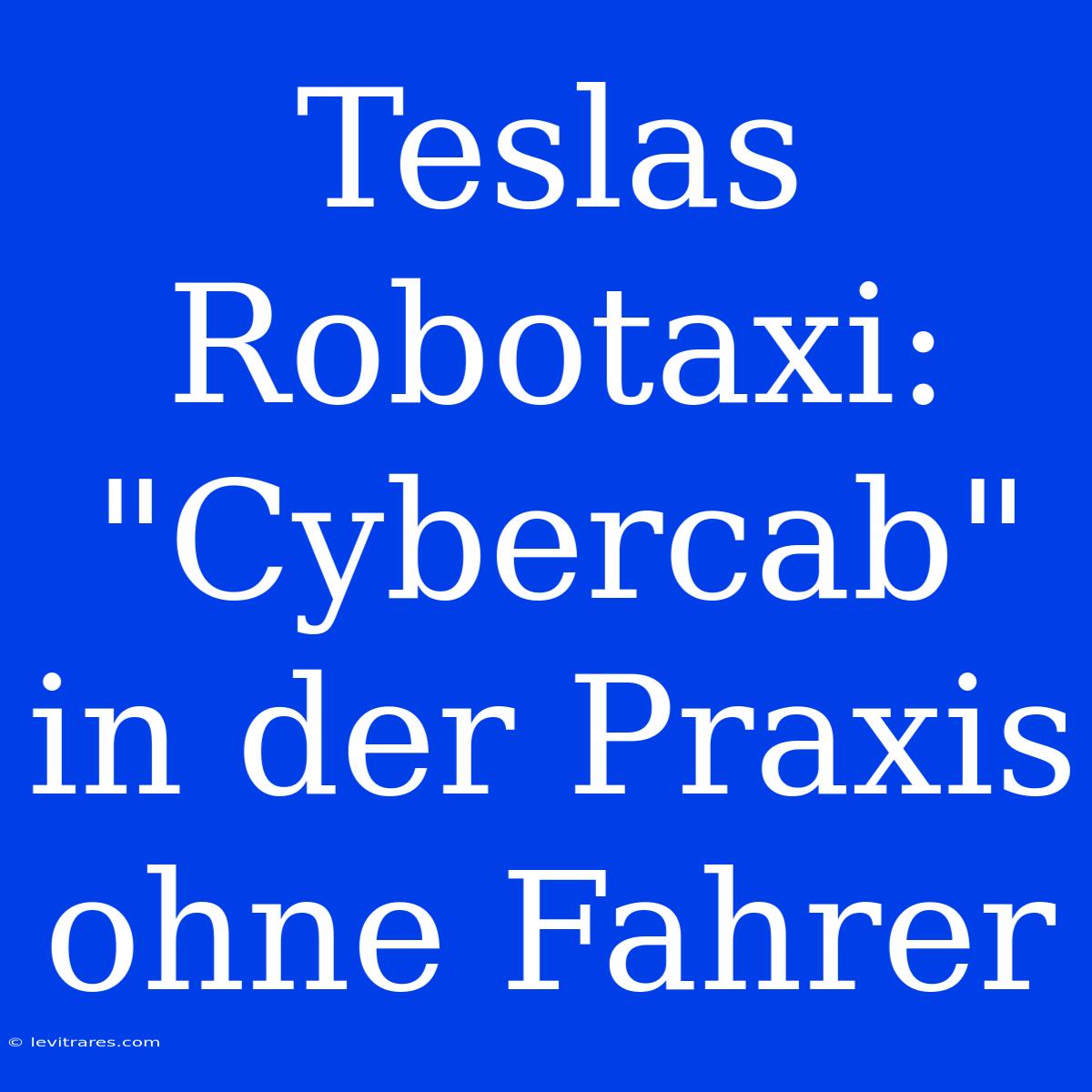 Teslas Robotaxi: 