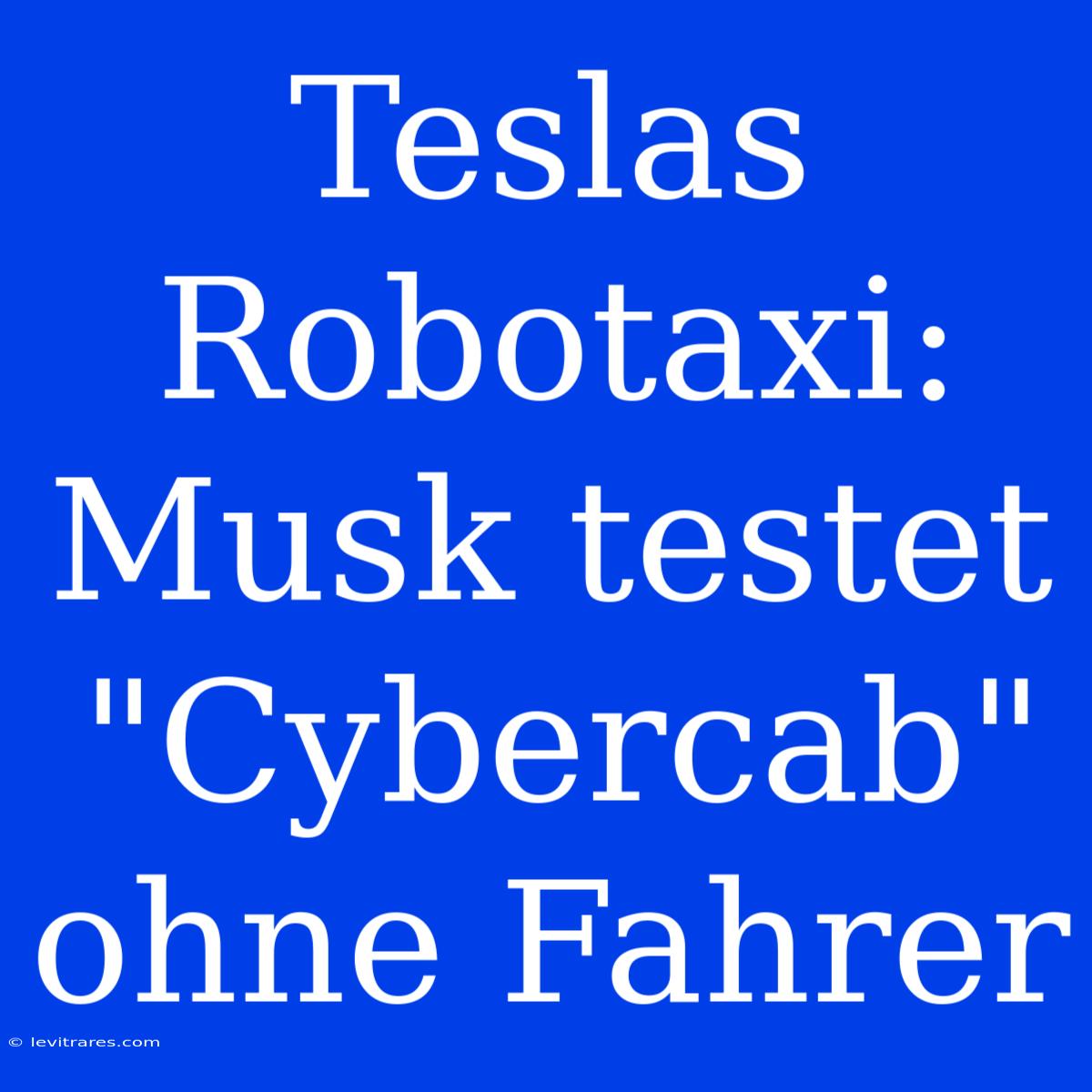 Teslas Robotaxi: Musk Testet 