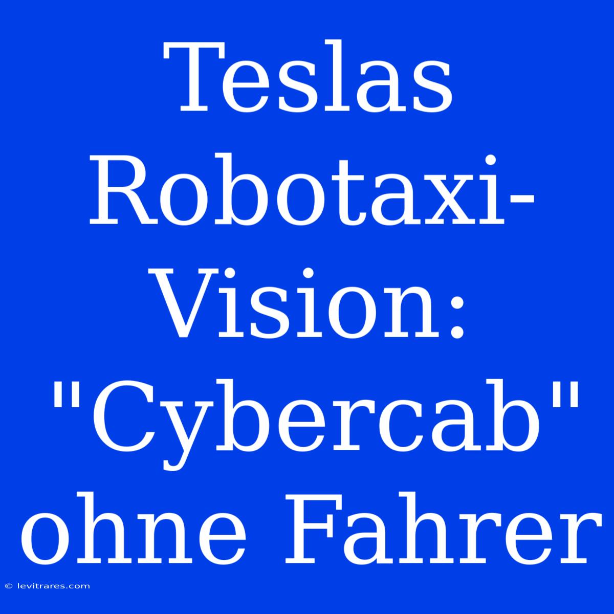 Teslas Robotaxi-Vision: 