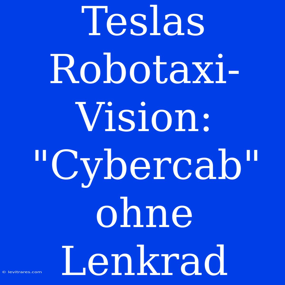 Teslas Robotaxi-Vision: 