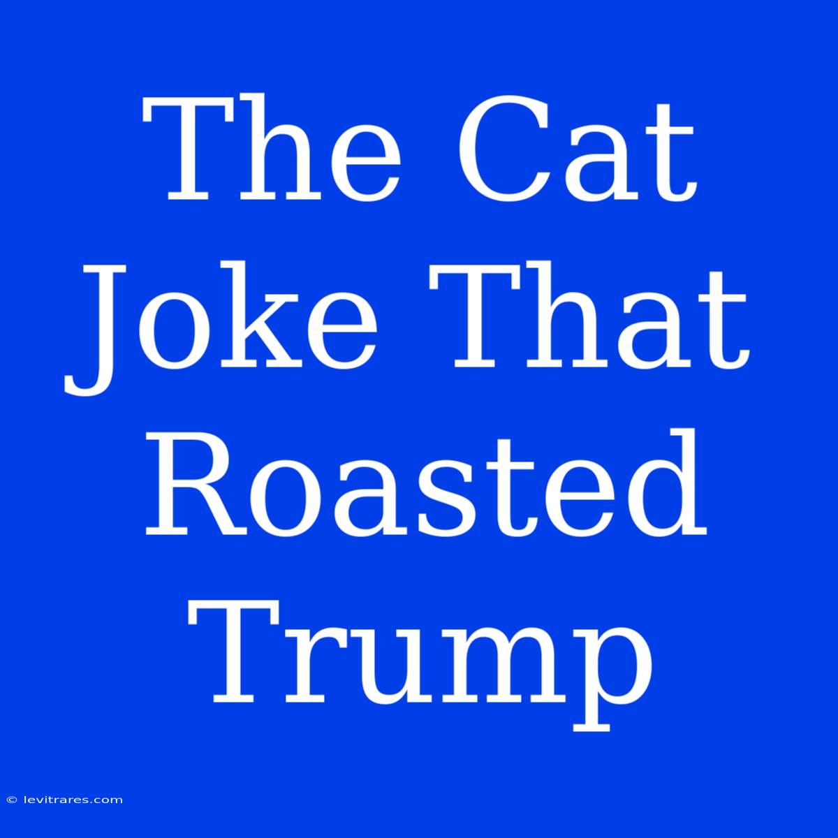 The Cat Joke That Roasted Trump